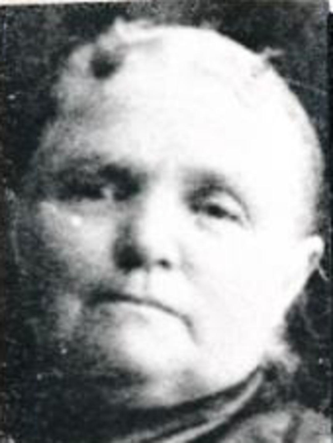 Ann Dewhurst (1840 - 1920) Profile